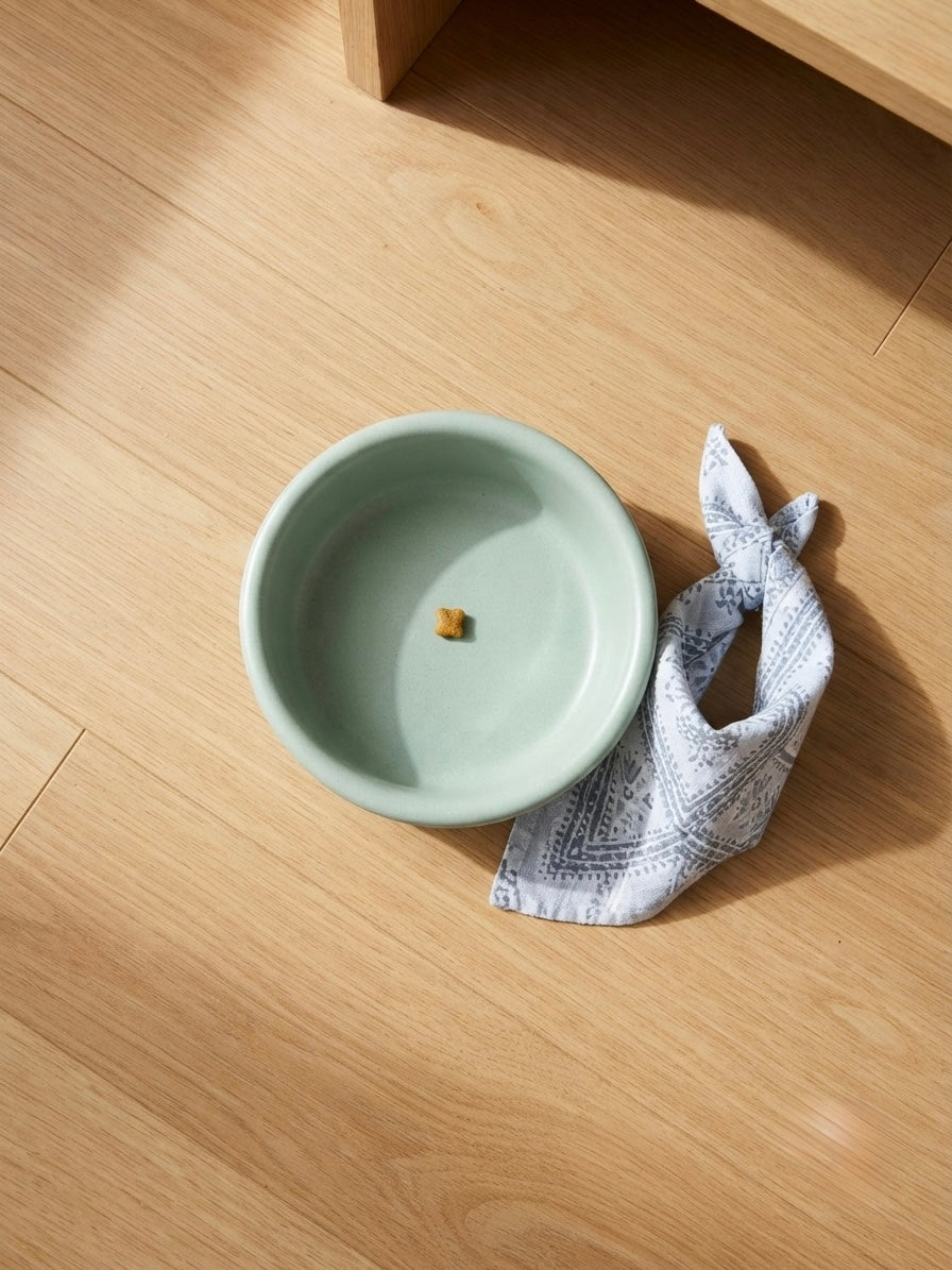 The Pace-Feeder Healthy Digestion Slow-Bowl