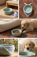 The Pace-Feeder Healthy Digestion Slow-Bowl