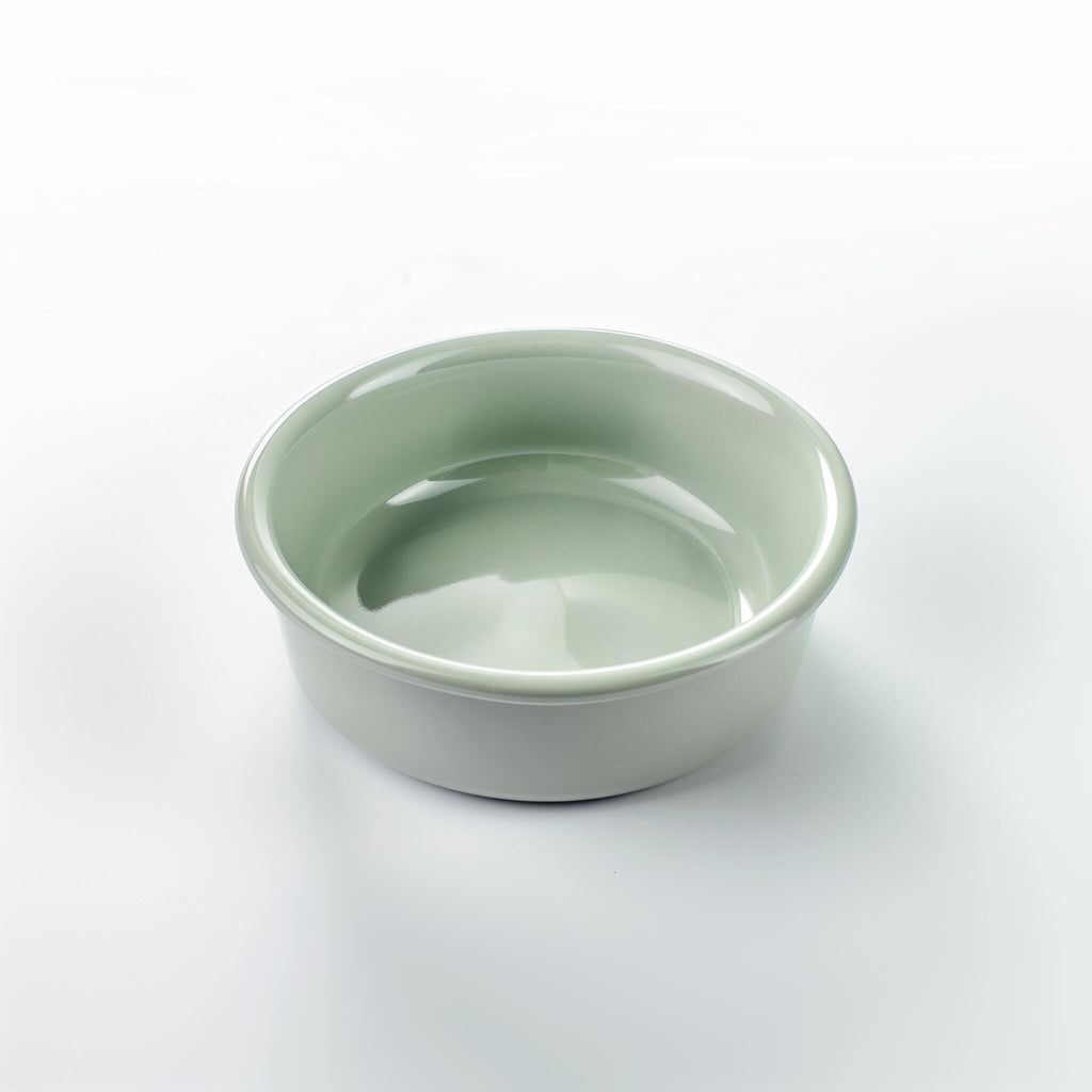 The Pace-Feeder Healthy Digestion Slow-Bowl