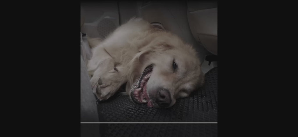 The Voyager Protector Premium Waterproof Seat Cover