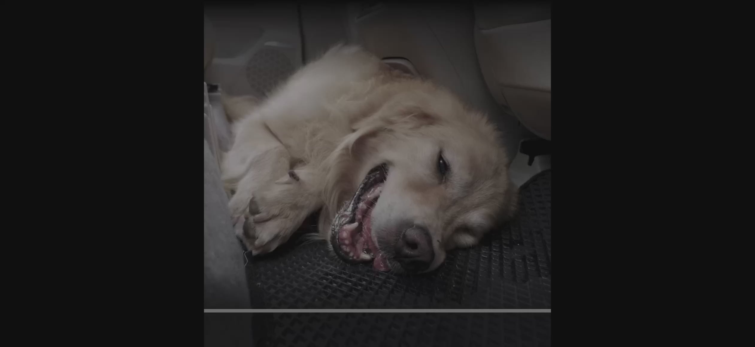 The Voyager Protector Premium Waterproof Seat Cover