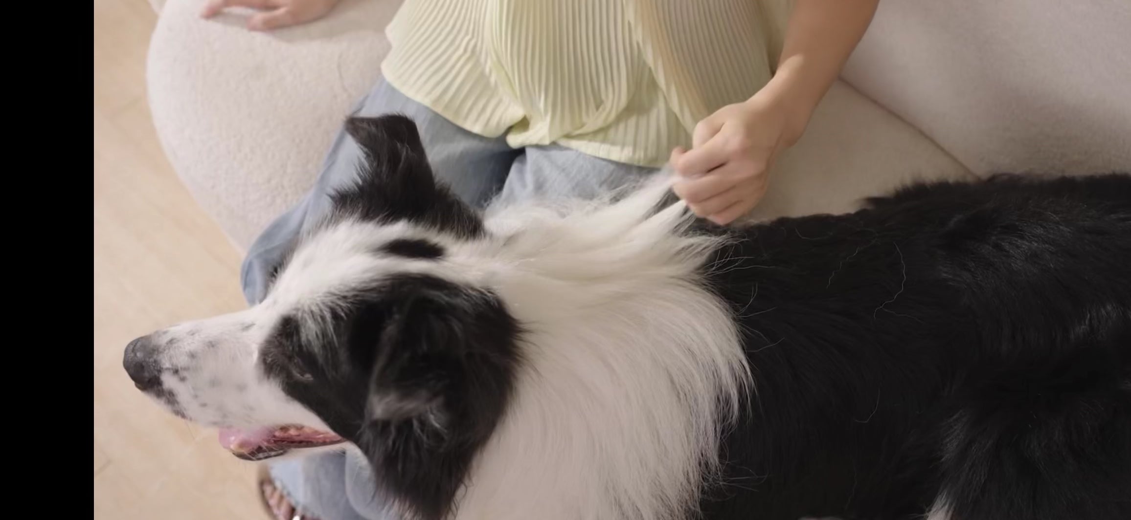 The Precision Groomer  Professional Self-Cleaning Brush